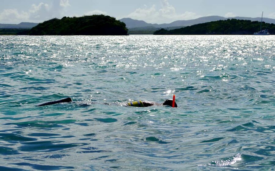 Antigua: Drink Till Your Drunk Rum Drinking & Discovery Tour - Key points to know before you book