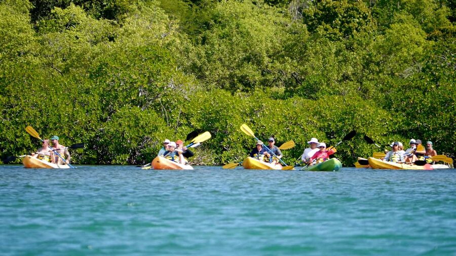 Antigua: Drink Till Your Drunk Rum Drinking & Discovery Tour - Devil’s Bridge, where the coast takes center stage
