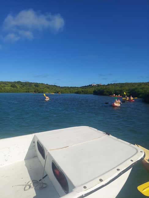 Antigua: Drink Till Your Drunk Rum Drinking & Discovery Tour - Betty’s Hope and Antigua’s sugar past