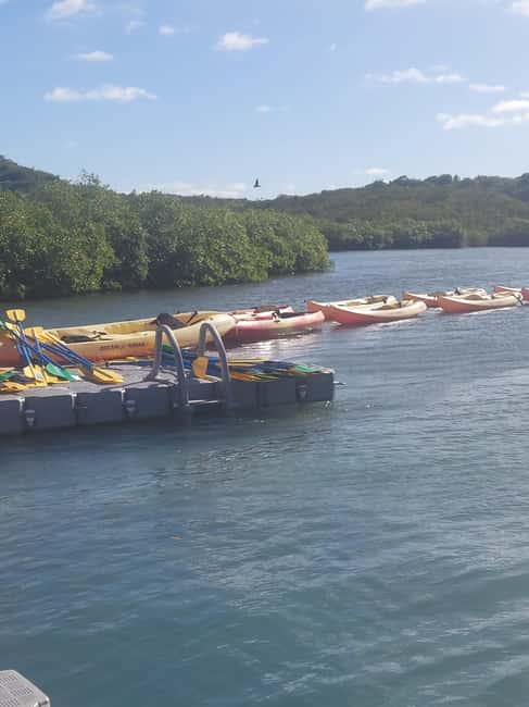 Antigua: Drink Till Your Drunk Rum Drinking & Discovery Tour - One hour to swim or slow down at the beach