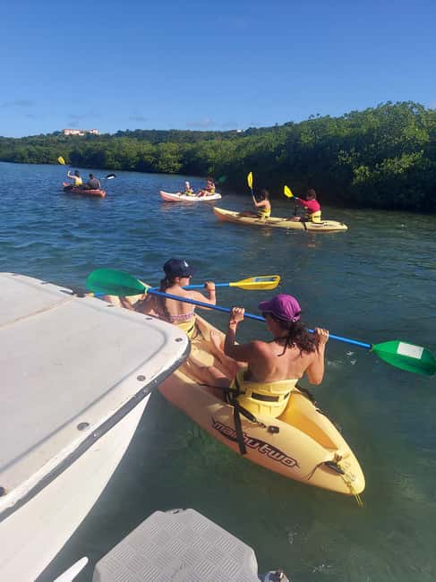 Antigua: Drink Till Your Drunk Rum Drinking & Discovery Tour - Music, rum, and the guide’s role