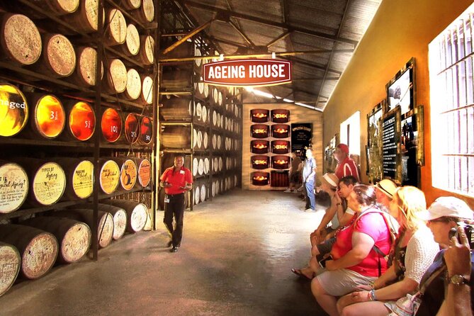 Appleton Estate Rum Factory And YS Falls Inclusive Tours From Montego Bay - What the private format changes