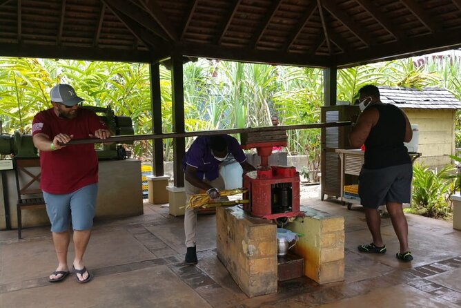 Appleton Estate Rum Tour and Pelican Bar Customize Tour - Stopping beneath Jamaica’s bamboo archway
