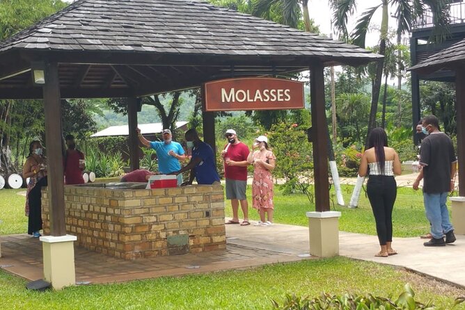 Appleton Estate Rum Tour and Pelican Bar Customize Tour - Who will enjoy this Jamaica day most