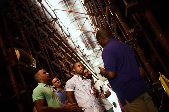 Appleton Estate Rum Tour and Tasting from Ocho Rios - The journey from Ocho Rios to Jamaica’s interior