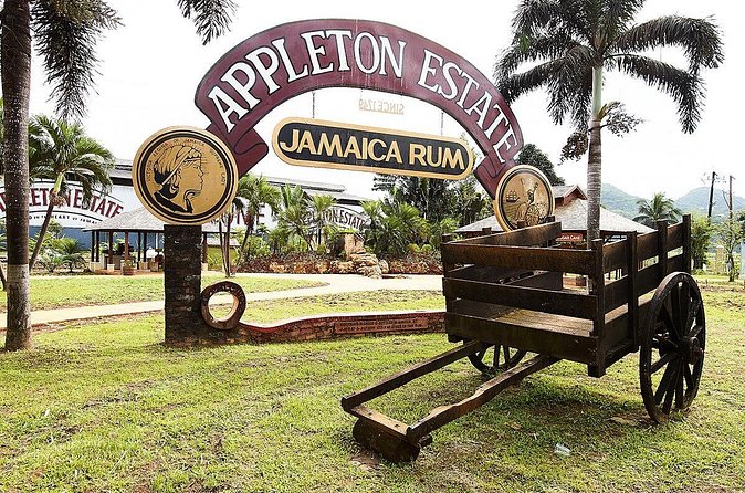 Appleton Estate Rum Tour and Tasting from Runaway Bay - Who will enjoy this day most