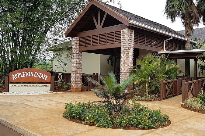 Appleton Estate Rum Tour and Tasting from Runaway Bay - Practical tips for the 8:00 am start