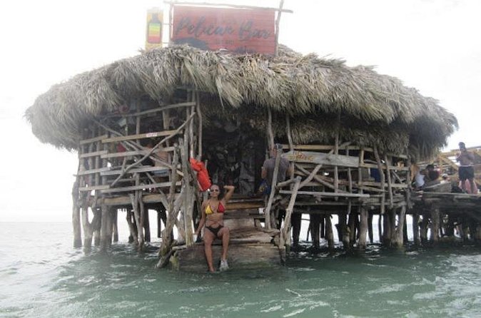 Appleton Estate Rum, YS Falls, Black River Safari / Floyd's Pelican Bar Tour - What the private vehicle changes