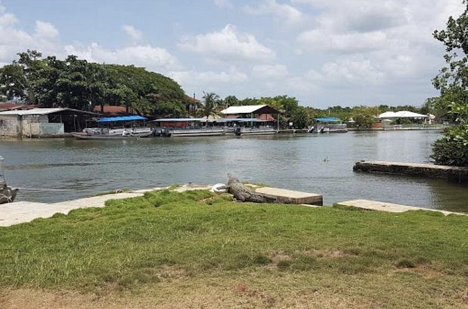 Appleton Estate Rum, YS Falls, Black River Safari / Floyd's Pelican Bar Tour - Timing, closures, lunch, and what to pack
