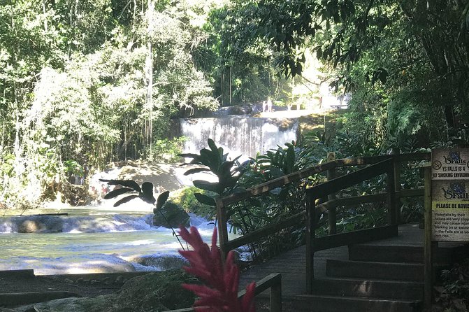 Appleton Rum Factory, Ys Falls, Black River Safari, Floyd’s Pelican Bar - What the $169 price really includes