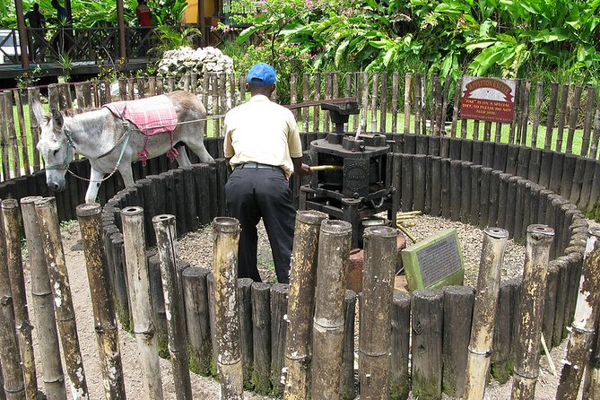 Appleton Rum Tour and Floyd’s Pelican Bar from Montego Bay Hotels and Villas - Timing, pickup, and the road south