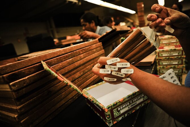 Aurora Cigar & Rum Sensory Tasting and Pairing in Punta Cana - Booking timing and cancellation details
