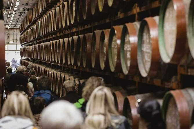 Banana Museum, Rum Distillery & Winery guided tour with tasting - An hour in Agaete for lunch