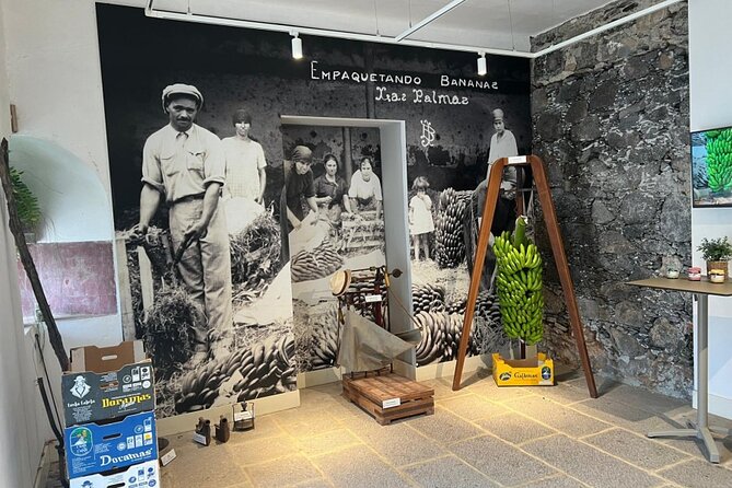 Banana Museum, Rum Distillery & Winery with Tasting: Premium tour - The guide and the group atmosphere