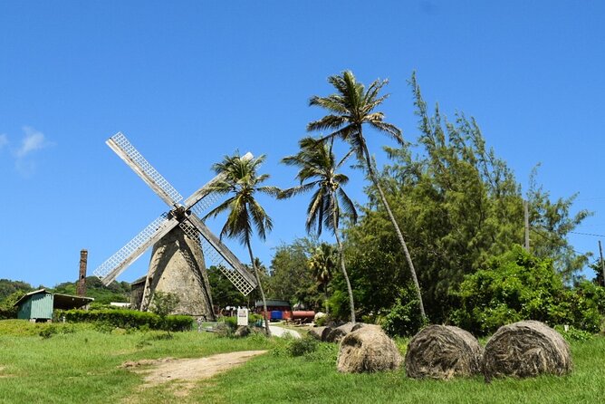 Barbados Highlights and Rum Tour - Cherry Tree Hill reaches the high point