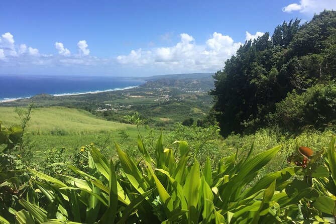 Barbados Highlights and Rum Tour - Bathsheba shows Barbados at its wildest