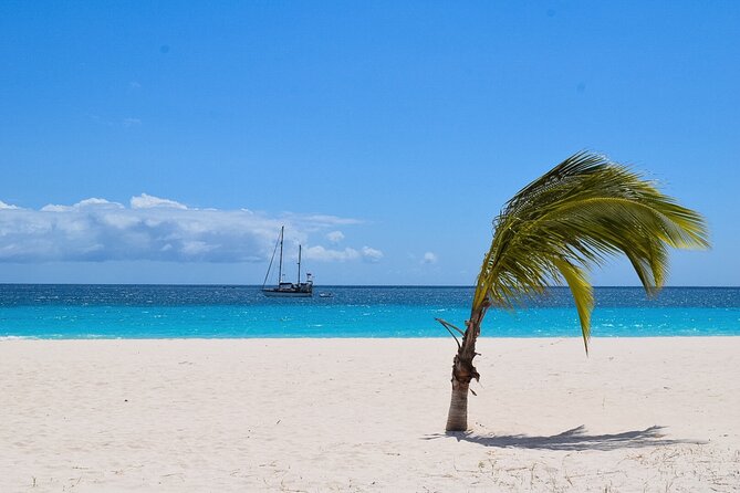 Barbados Highlights and Rum Tour - Mount Gay turns rum into the finale