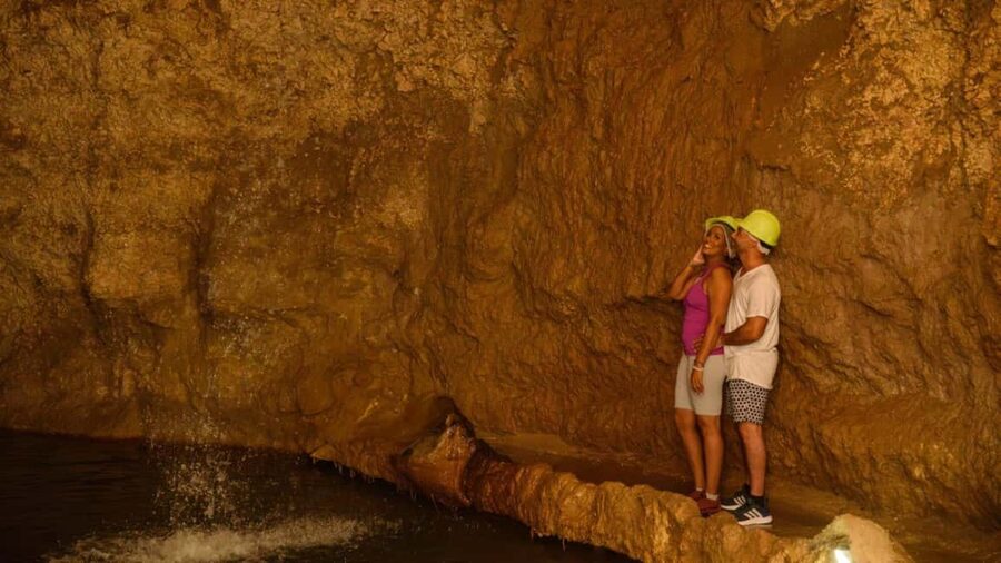 Barbados: Trail, Tram & Rum Experience - Who should book this experience?