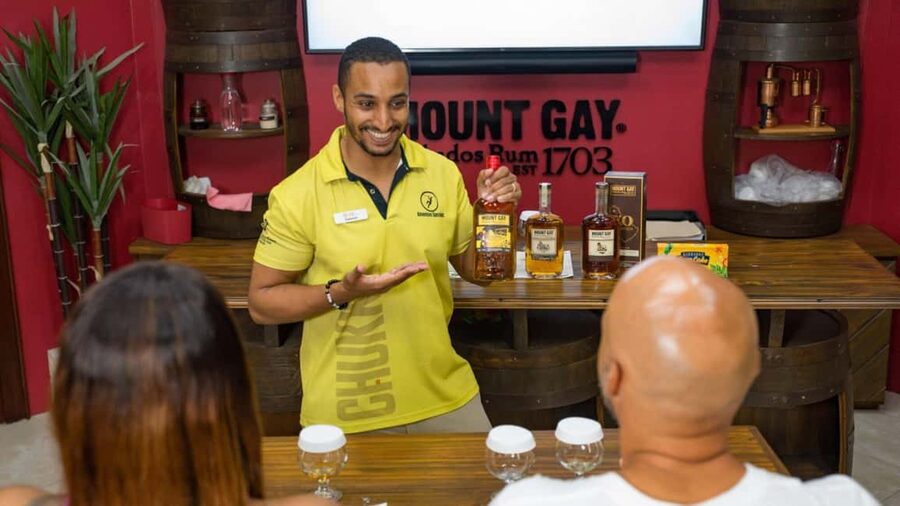 Barbados: Trail, Tram & Rum Experience - What this full day at Harrison’s Cave is really like