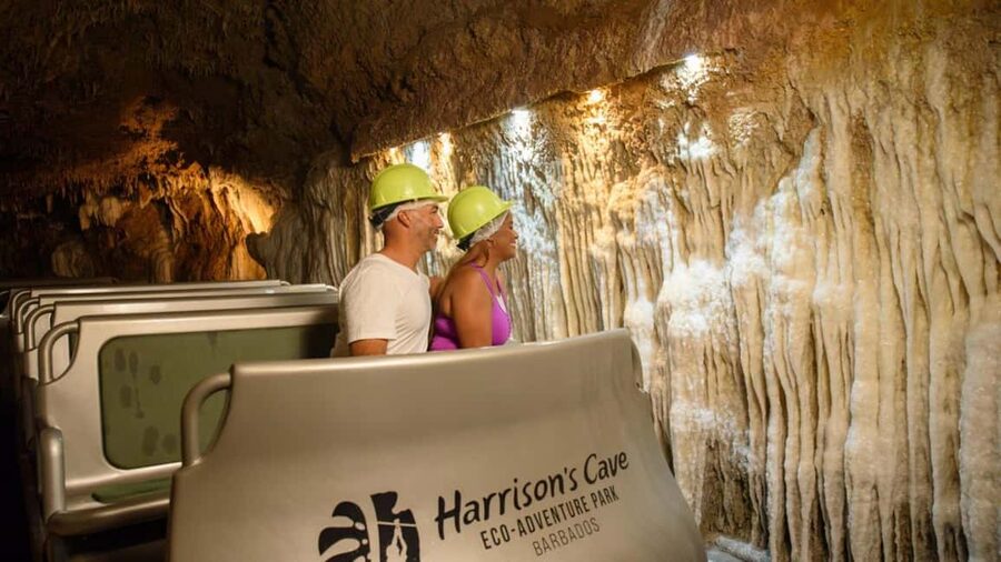 Barbados: Trail, Tram & Rum Experience - Lunch, a tropical drink, and the Green Monkey pool