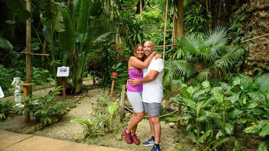 Barbados: Trail, Tram & Rum Experience - How the day is organized, and where it falls short