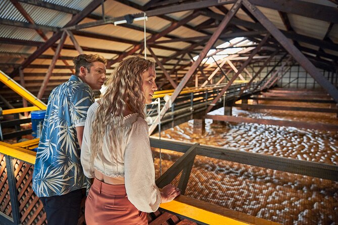 Bundaberg Rum Behind The Scenes Distillery Tour And Museum Experience - Start with the museum, not the tasting