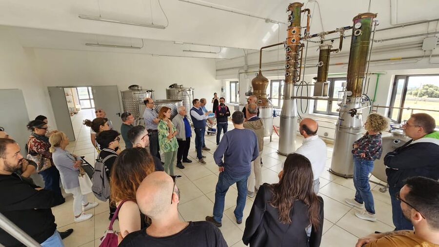 Distilleria Alma- Rum Distilery Guided Tour & Tasting - The fresh cane juice tasting