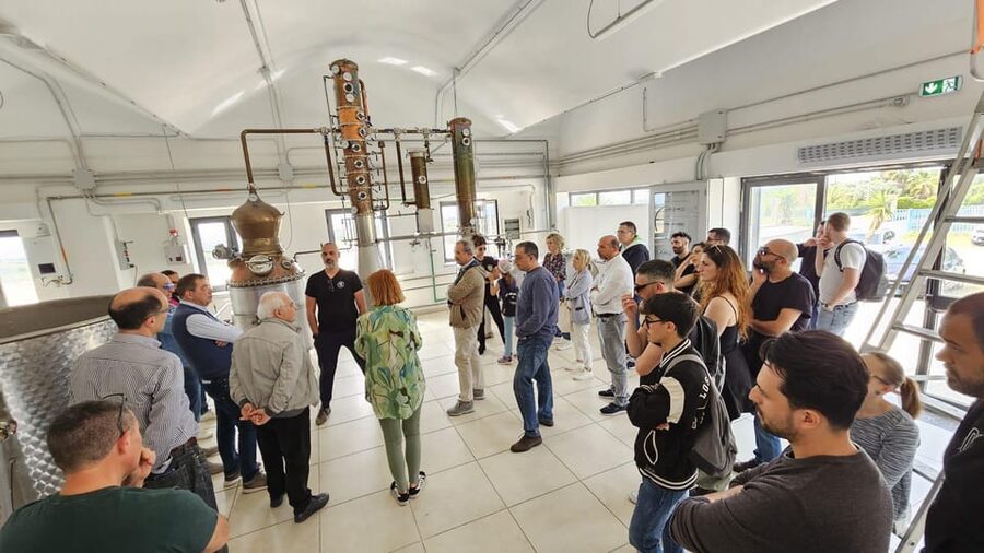 Distilleria Alma- Rum Distilery Guided Tour & Tasting - Who should book this experience?