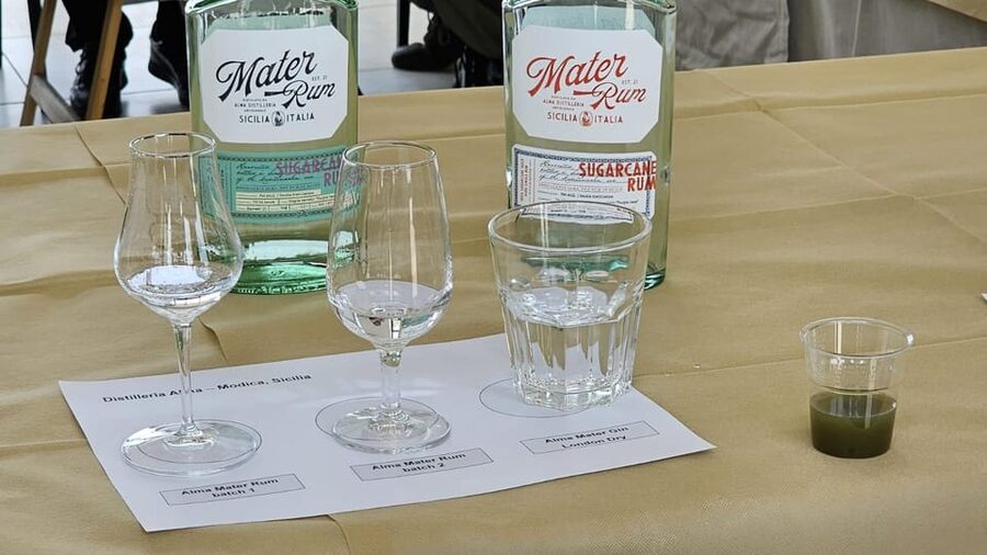 Distilleria Alma- Rum Distilery Guided Tour & Tasting - Should you book Distilleria Alma?