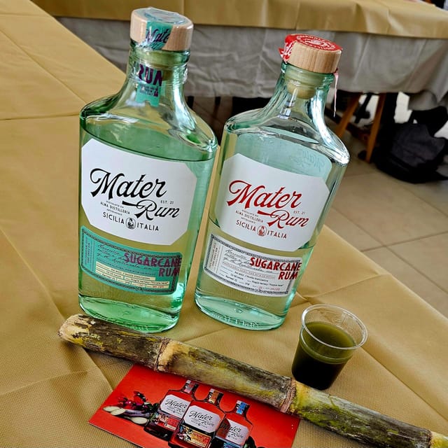Distilleria Alma- Rum Distilery Guided Tour & Tasting - Inside the distillery, from pressing to aging