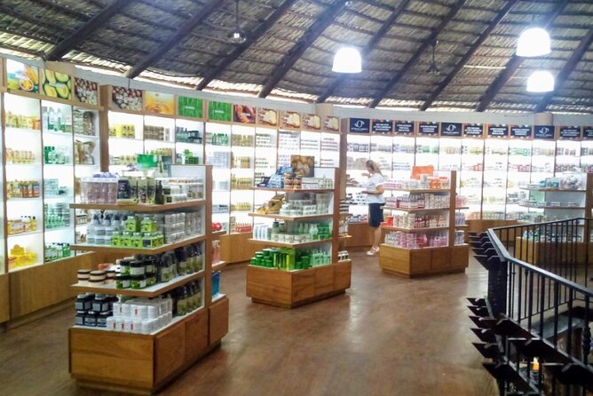 Don Lucas Cigar Factory & Store + Premium Rum Tasting (3 hours) - Transport is the part I would manage carefully