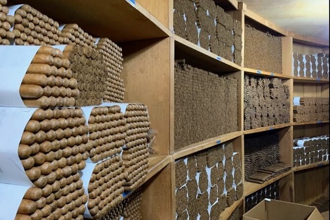 Don Lucas Cigar Factory & Store + Premium Rum Tasting (3 hours) - Who should book this experience?