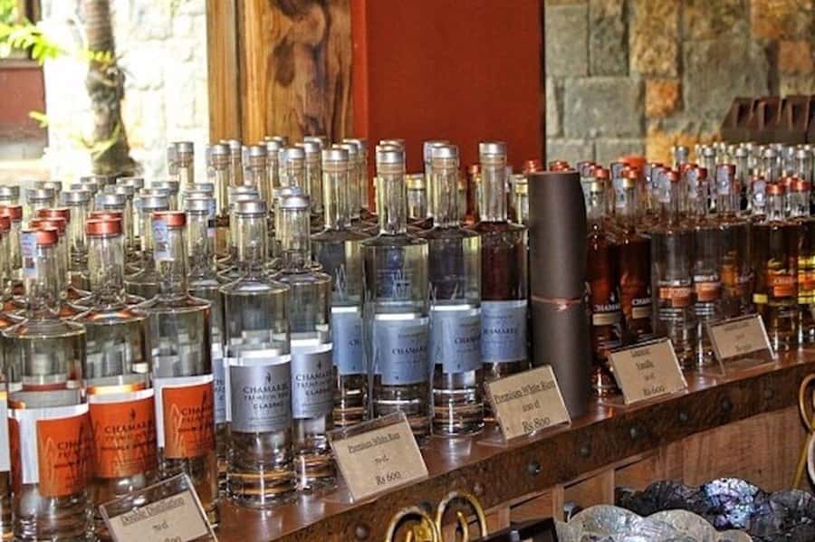 Explore the Southwest with Local Lunch & Rum Tasting - What the eight-hour southwest route gives you