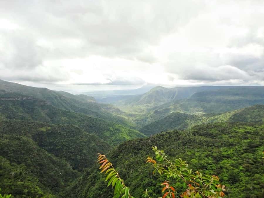Explore the Southwest with Local Lunch & Rum Tasting - The timing problem deserves honest attention
