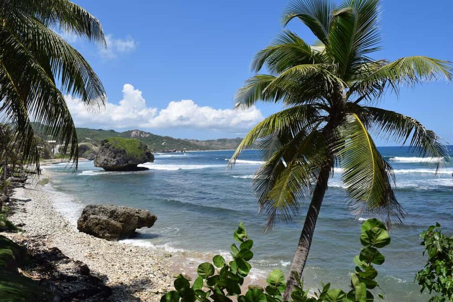 From Saint James/Christ Church: The Story Of Rum Tour - What to expect at the Mount Gay Visitor Centre