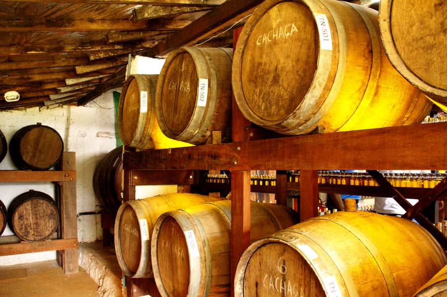 Full-Day Jungle Jeep Waterfall and Cachaça Distillery Tour - What the guiding can add