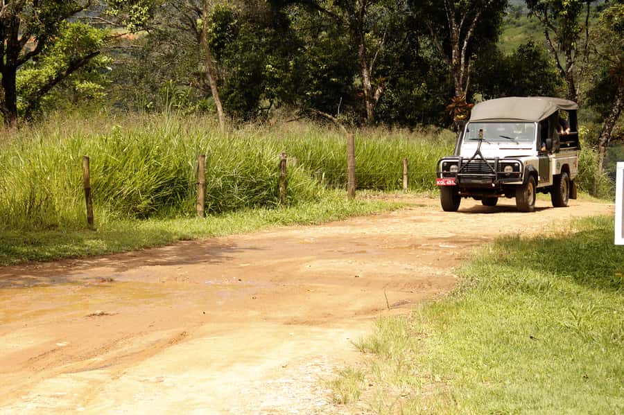 Full-Day Jungle Jeep Waterfall and Cachaça Distillery Tour - Tobogã and Poço do Tarzan waterfalls