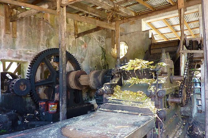 Full-Day Tour: Concord Waterfall, Chocolate Factory, Rum Distillery, Grand Etang - Is $115 a good value?