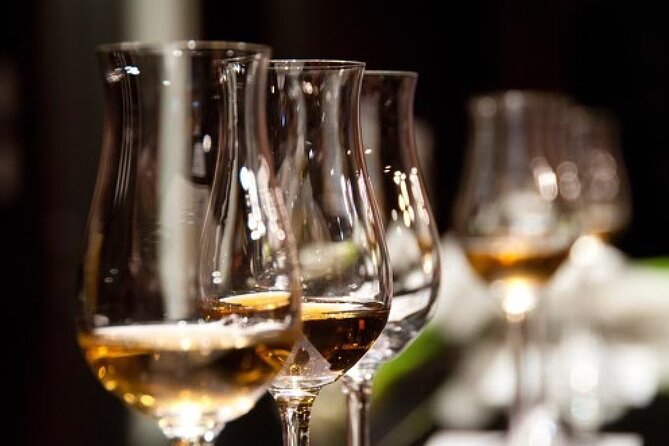 Gin & Rum Tasting in Frankfurt am Main - Is $102.24 good value?