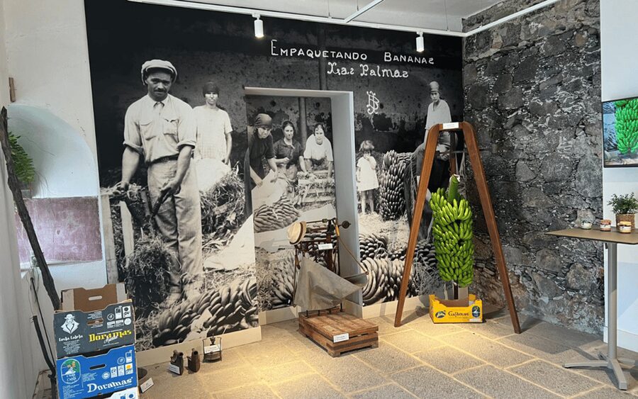 Gran Canaria: Rum, Wines and Banana Tour - Making mojo canario with the group