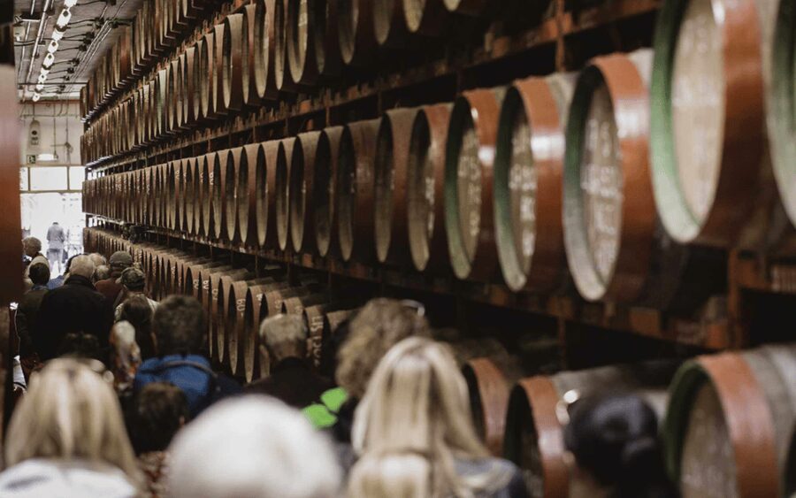 Gran Canaria: Rum, Wines and Banana Tour - Transport, timing, and practical concerns