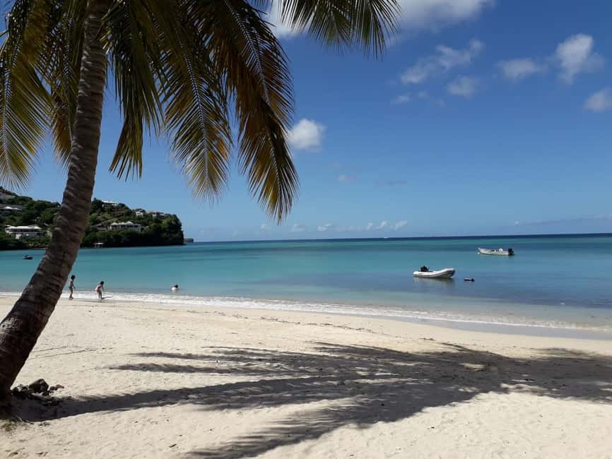 Grenada: Culture and Nature Island Tour with Chocolate & Rum - The Grand Etang road shows Grenada’s green interior