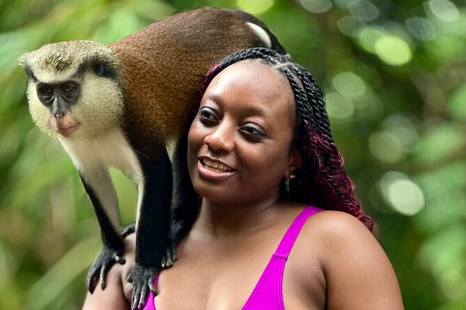 Grenada Day Tour-Concord Falls, Chocolate, Rum & Grand Etang Lake - Key points at a glance