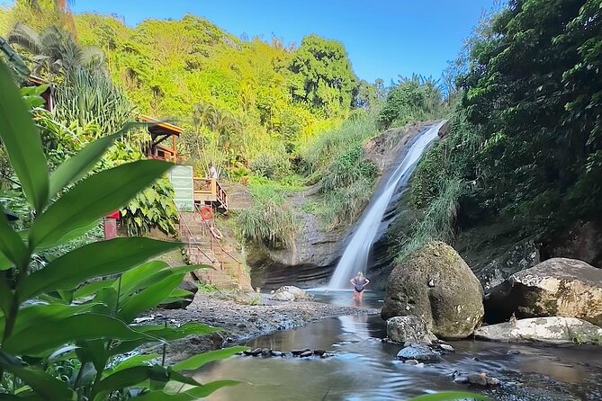 Grenada Day Tour-Concord Falls, Chocolate, Rum & Grand Etang Lake - Why this tour works as a first look at Grenada