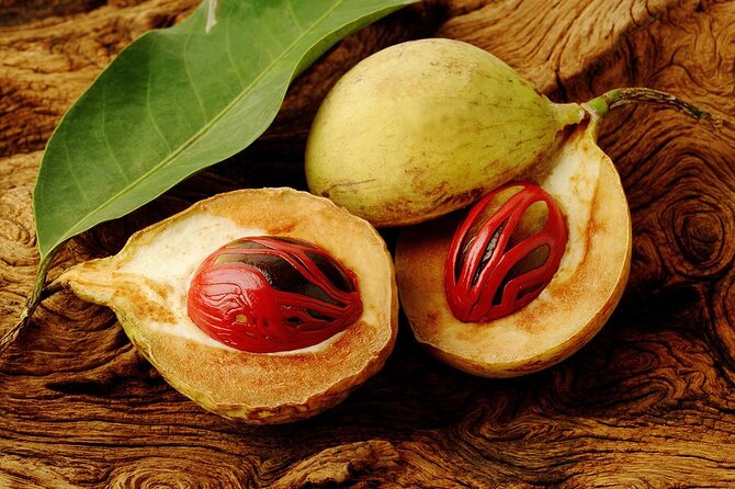 Grenada Spice Gardens, Rum & Chocolate Tour (Full/Half Day) - Grenada on a plate: why this tour works