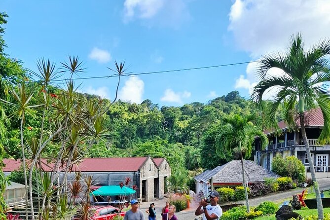 Grenada Spice with Rum and Cocoa Heritage Tour - Nutmeg takes center stage in Victoria