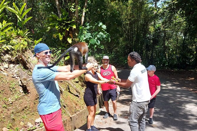 Grenada Spice with Rum and Cocoa Heritage Tour - Kevon’s guiding style adds flexibility