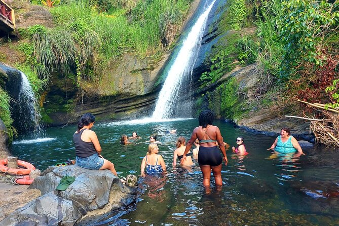 Grenada Spice with Rum and Cocoa Heritage Tour - Concord Falls brings you into the rainforest