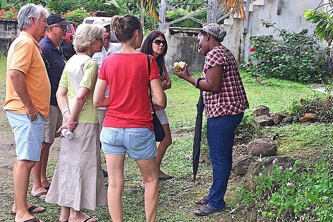 Grenada West Coast: Waterfalls, Chocolate & Rum Half-Day Tour - Jouvay Chocolate: cocoa from crop to treat