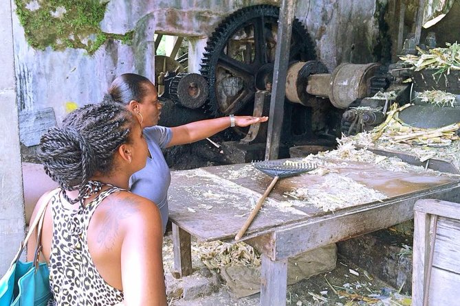 Grenada West Coast: Waterfalls, Chocolate & Rum Half-Day Tour - What the guides add to the drive